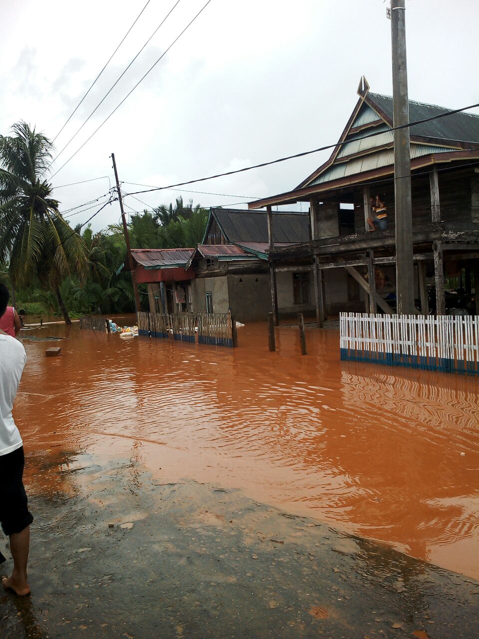 Kerusakan Lingkungan yang diduga akibat pertambangan di Kabaena