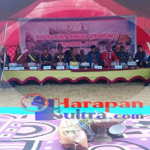 Acara Ritual Adat Tanduale/Tandruale untuk perdamaian antara masyarakat Moronen-Bugis di Kolaka Acara Ritual Adat Tanduale/Tandruale untuk perdamaian antara masyarakat Moronen-Bugis di Kolaka