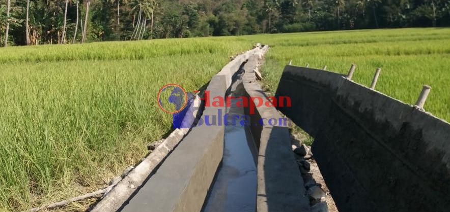 Proyek Irigasi Pengembangan Jaringan Irigasi Di Desa Haju Wangi Mulai Dikerjakan