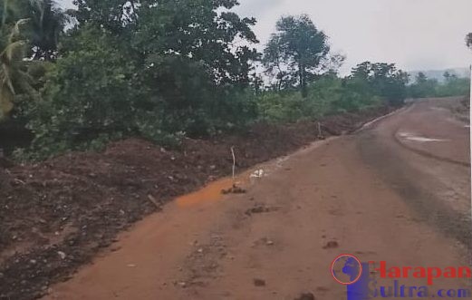 gambar : Jalan [hauling] PT. Trias Jaya Agung yang diduga melewati Kawasan Hutan