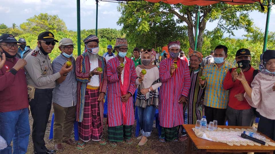 Ketgam : Ketua Tim Penggerak PKK Busel. Hj. Wa Ode Ruhania saat menghadiri Acara Panen Raya Jeruk Siompu
