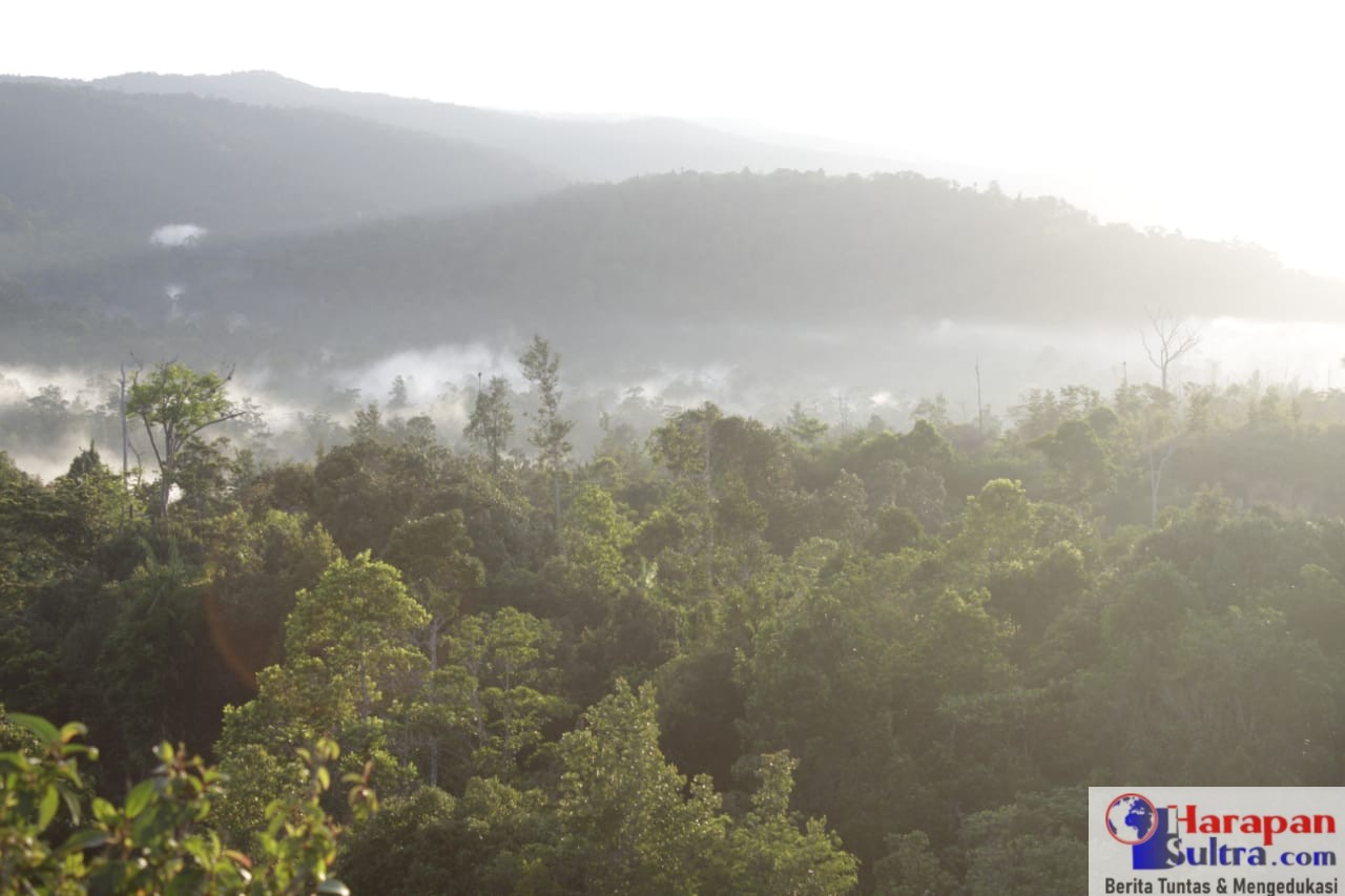 Pemandangan Puncak Gunung Tongkuno Raya