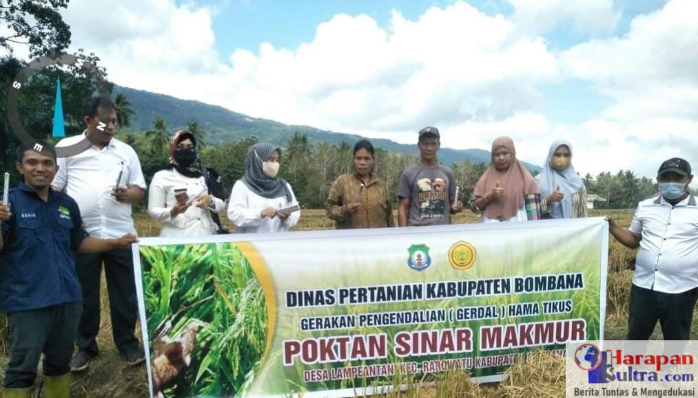 Distan Bombana kunjungi Kelompok tani