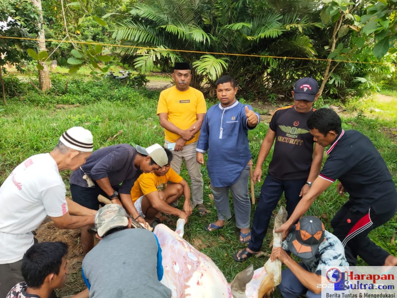 Ketua Panitia Qurban Bank Sultra Mubar Laode Hakri Fajar (Tengah Berbaju Biru) Saat memantau Penyembelihan hewan qurban.