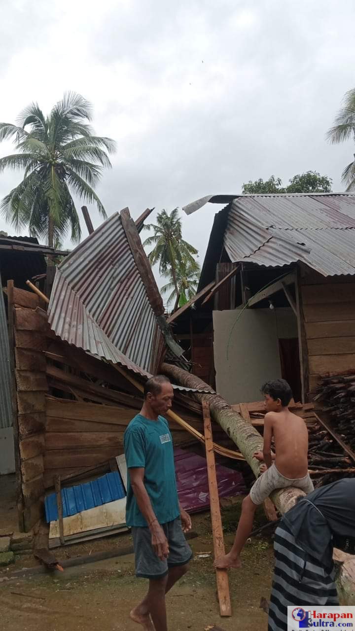 Rumah di Desa Anugerah, Kecamatan Lantari Jaya, Bombana, roboh akibat tertimpah pohon kelapa yang tumbang karena angin puting beliung.