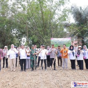 Wakil Bupati Bombana Ahmad Yani (kemeja putih, tengah) bersama Forkopimda dan jajaran Polres Bombana melakukan penanaman jagung simbolis di Kelurahan Doule, Rumbia, dalam rangka mendukung swasembada pangan tahun 2025. Wakil Bupati Bombana Ahmad Yani (kemeja putih, tengah) bersama Forkopimda dan jajaran Polres Bombana melakukan penanaman jagung simbolis di Kelurahan Doule, Rumbia, dalam rangka mendukung swasembada pangan tahun 2025.