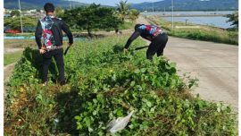 Kesbangpol Kabupaten Bombana menggelar kerja bakti di kawasan RTH 1 dan halaman kantor untuk mendukung gerakan Berani Bersih Wonuaku Bombana serta memperkuat budaya gotong royong dan kepedulian lingkungan.
