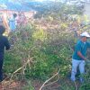 DPMD Kabupaten Bombana menggelar kerja bakti di lingkungan kantor untuk mendukung program Berani Bersih Wonuaku dan memperkuat budaya gotong royong serta kepedulian terhadap kebersihan lingkungan.
