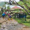 Damkar Bombana bergerak cepat mengevakuasi pohon tumbang yang menutupi akses jalan masuk Eks RSUD Bombana. Penanganan dilakukan selama dua jam hingga jalan kembali aman dilalui masyarakat.