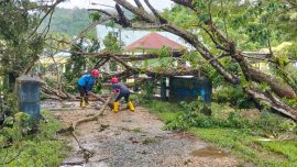 Damkar Bombana bergerak cepat mengevakuasi pohon tumbang yang menutupi akses jalan masuk Eks RSUD Bombana. Penanganan dilakukan selama dua jam hingga jalan kembali aman dilalui masyarakat.