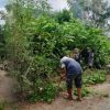 Babinsa Koramil 1431-02/Kabaena bersama warga Desa Tapuhaka, Kecamatan Kabaena Timur, Kabupaten Bombana, menggelar kerja bakti membersihkan jalan menuju TPU guna menciptakan lingkungan yang bersih, aman, dan nyaman bagi masyarakat.